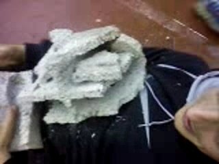 jackass amateur