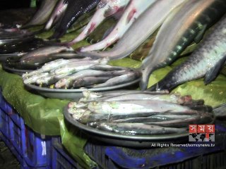 মৌলভীবাজারের শুরু হয়েছে মৎস্য মেলা