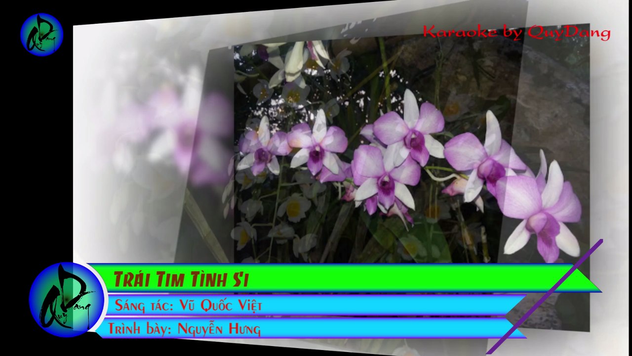 Trái Tim Tình Si | Nguyễn Hưng | Karaoke Beat HD