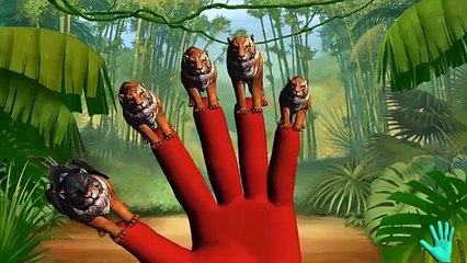 Тигр мультфильм животных палец семья Коллекция | 3D Тигр анимированные Finger семья Рифмуется детей