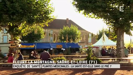 Qu'est-ce que la phytothérapie ? Les explications de Jean-Michel Cohen