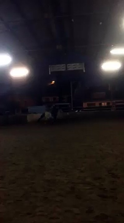 Essai poney connemara Play boy