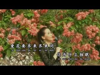 [Josephine Chee 徐玉珠] 红睡莲 -- 那些年代的经典金曲 (Official MV)