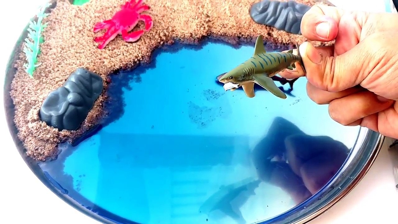 #Learn Types Of SHARKS in WaterMINI Beach-Cute Mini SHARK TOYS-Sea Animals  Kids Z Fun