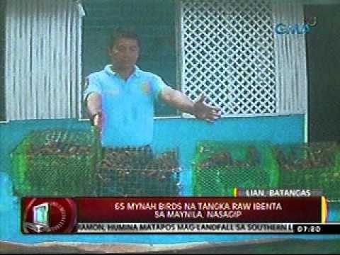 24oras 101211 14