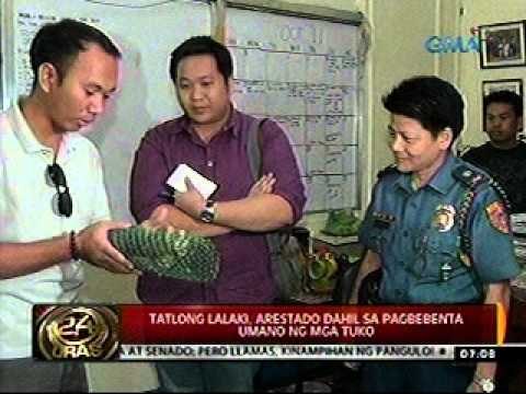 24oras 101211 13