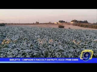 Agricoltura, la conta dei danni dopo la neve