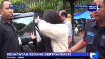 4 Wanita Asing Diciduk Petugas dari Sejumlah Vila di Puncak