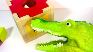 #Learn SHAPES And COLORS With BLOCKS And Colored Balloon POPPINGAlligator Puppet wooden shapes