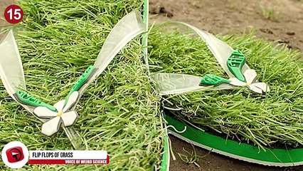 16 Cool And Weird Inventions For Travelling