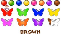 Learn Colors with IceCream Coloring Pages & More Colors Collection Learning Colours Worksheets