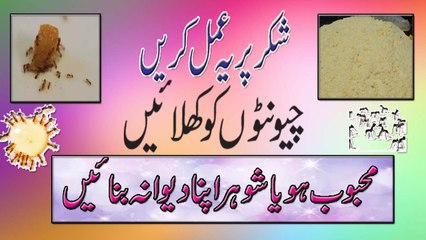 Kisi Ko B Apna Diwana Banane Ka Amal