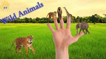 Learn Wild Animals Finger Family Songs | Wild Animals Finger Family nursery Rhymes For Children