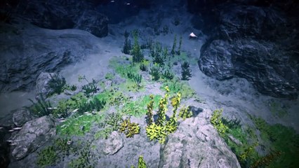 Black Desert Online   Actualización Oceano