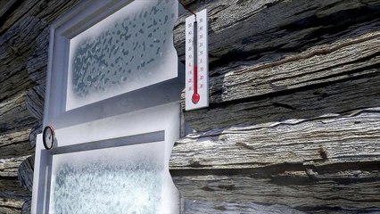 Les flocons de neige