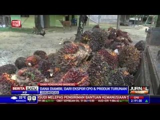 Sebagian Laba Pengusaha Sawit untuk Subsidi Biodiesel