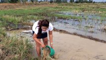 Amazing beautiful girl Fishing in Cambodia - How to Fishing at Battambang - By New York ( part 079)