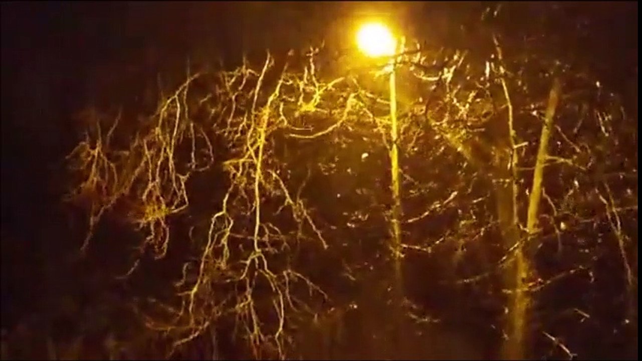 Extrait de neige et pluie en live le 12.01.2017