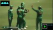 Pakistan Vs Australia   1st ODI Match Highlights HD