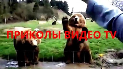 Приколы.Ребенок смешно напился со шланга