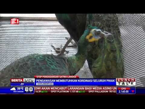 Lunch Talk: Stop Perdagangan Satwa Langka # 1