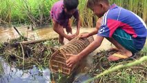 Amazing Children Catch Big Turtle Using Bamboo Net Trap - How To Catch Turtle In Cambodia