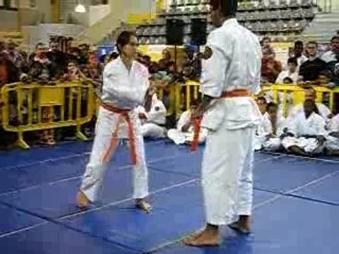 Nihon Taï Jitsu Démo Techniques de face