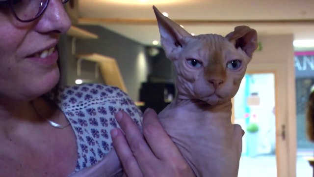 RHONE ALPES Actu - 13 JANVIER 2017