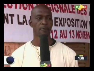 ORTM / Edition 13h du JT du Mercredi 16 Novembre 2016.