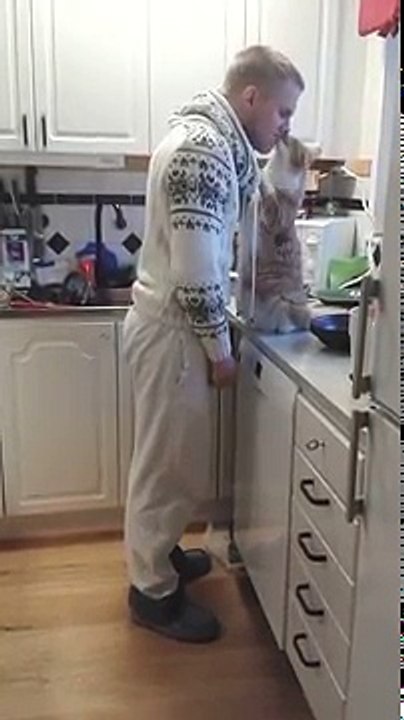 Ce chat réclame des câlins à chaque fois que son maître doit sortir de la maison, trop mignon