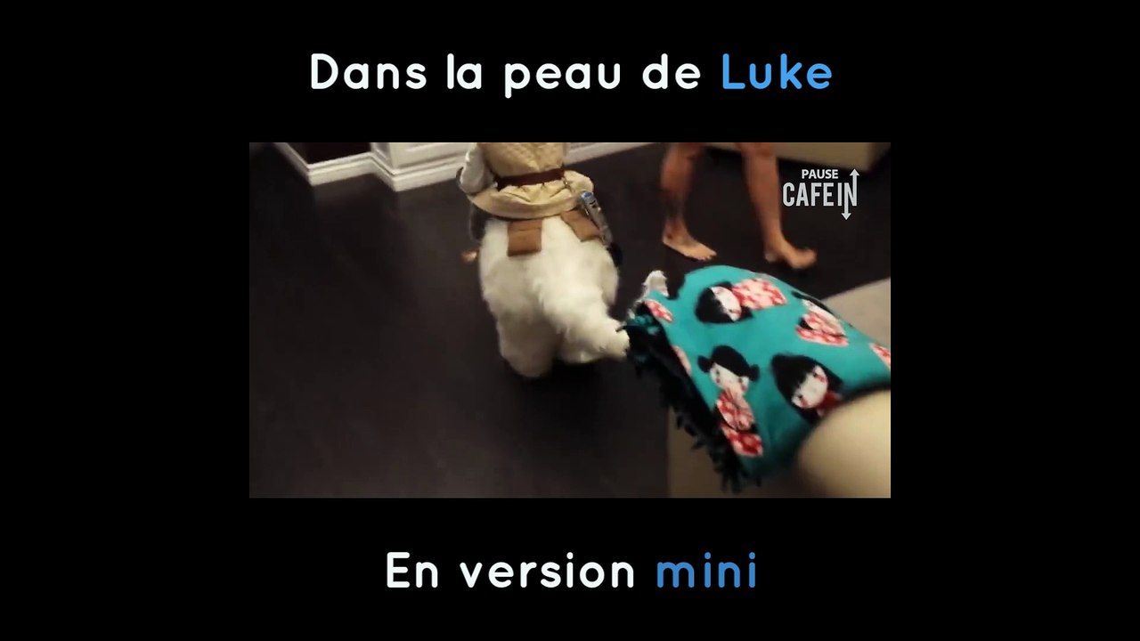 Mini Luke sur son Tauntaun