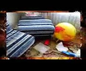 Приколы с детьми папа заснул на часок