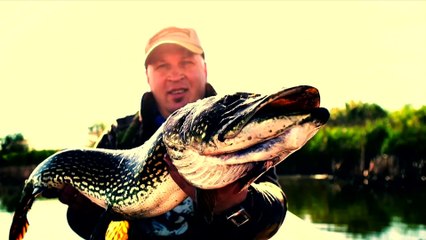 CNPL 2017 Quantum Overview