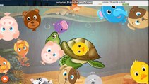 Baby Learn About Farm Animals - Real Video Of The Animals - Animal Puzzles For Kids and Toddlers