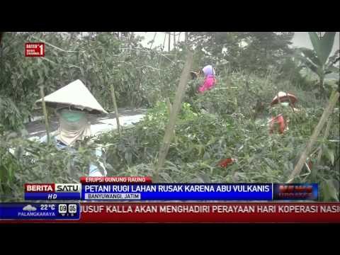 Tanaman Warga Rusak Akibat Abu Vulkanis Gunung Raung