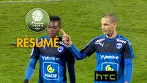 Chamois Niortais - Stade Lavallois (2-2)  - Résumé - (CNFC-LAVAL) / 2016-17