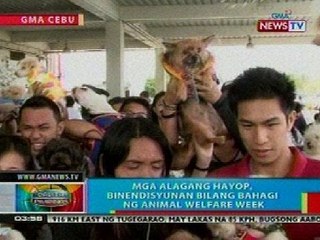 BP: Mga alagang hayop, binendisyunan bilang bahagi ng Animal Welfare Week