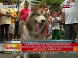 BT: Tamang pag-aalaga ng mga hayop, binigyang diin ngayong World Animal and World Rabies Day