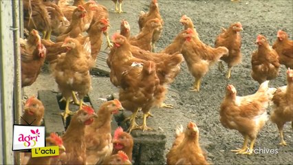 JT Agri85 TV du vendredi 13 janvier 2017