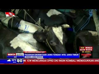 Pasokan Sapi Potong dari Jateng ke Jakarta Meningkat