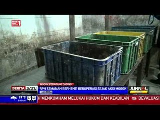 Mogok Pedagang Daging Sapi, KPPU Datangi RPH Semanan