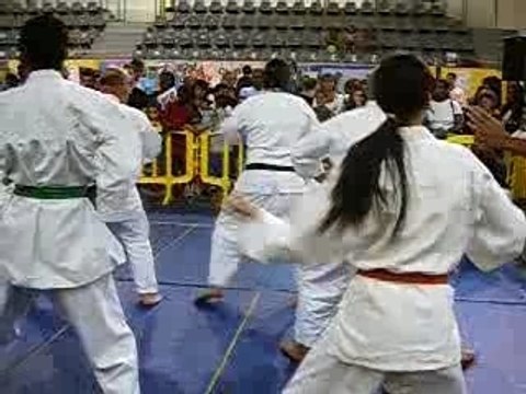 Nihon Taï Jitsu Démo Kata 2