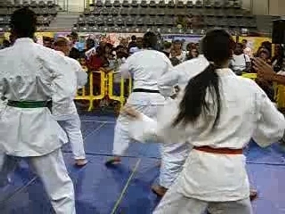 Nihon Taï Jitsu Démo Kata 2