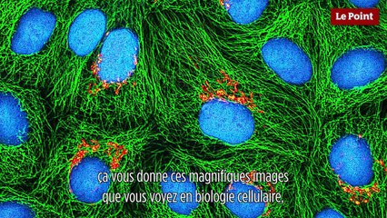 Le biomimétisme selon Idriss Aberkane #2 : La bioluminescence