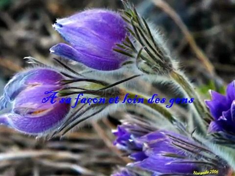 Richard Cocciante ''Pour elle''-ugA0r7OXET0-HQ