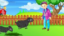 Baa Baa Black Sheep | Cartoon Animation Nursery Rhymes & Songs For Babies | Best Buddies