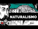 Naturalismo | reVisão   Tatiany Leite (Vá Ler um Livro)