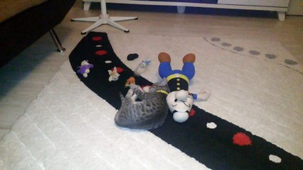 ıslık sesinden rahatsız olan duman :)