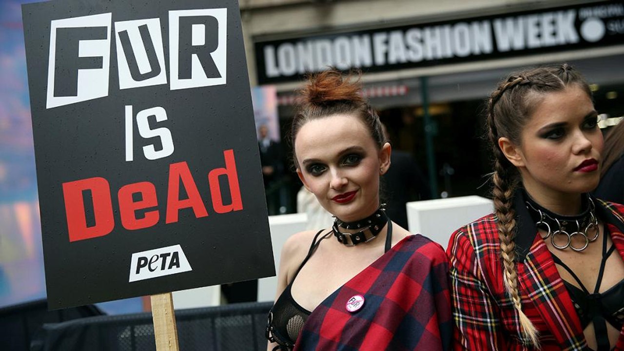 Peta купила акції LVMH