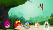 Finger Family ANGRY BIRDS - Nursery Rhymes for Children 3D Animation